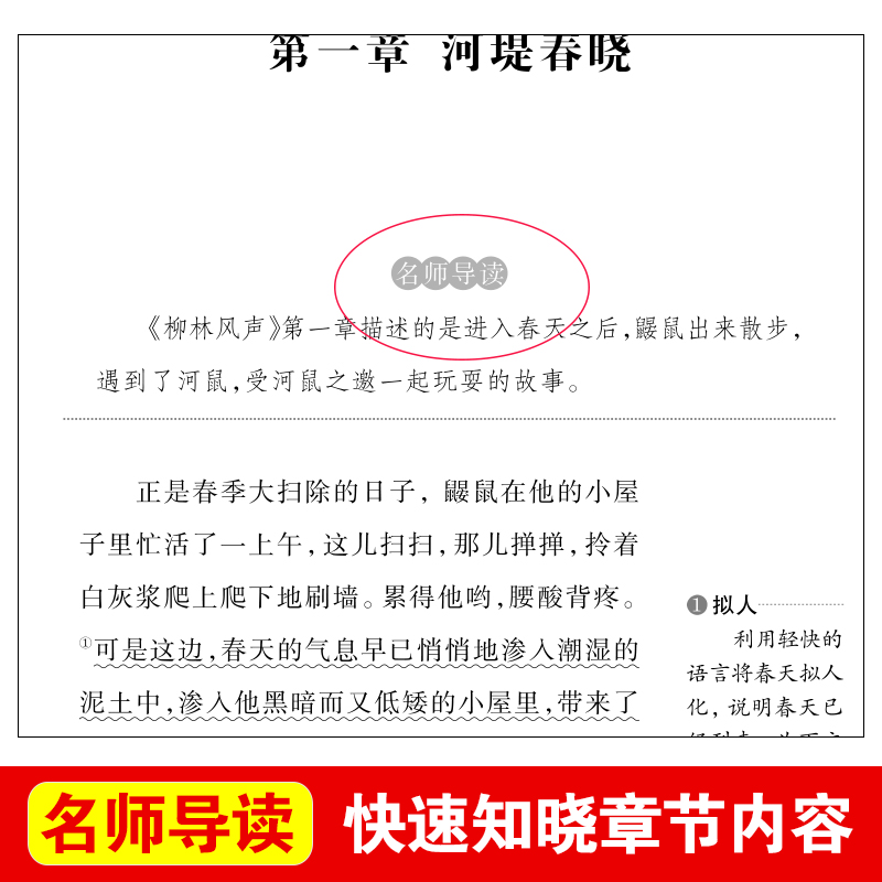 柳林风声正版书 天地出版社原版 四年级课外书适读珍藏版 三年级五六年级小学生阅读书籍非注音版 儿童书籍二年级杨静远