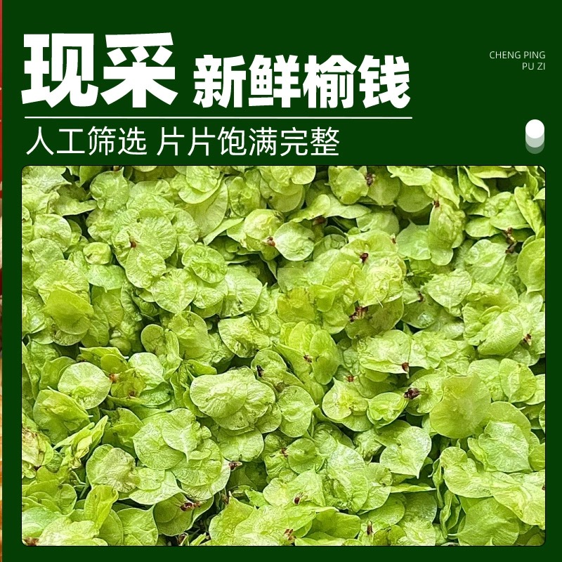 榆钱窝窝头新鲜现摘头茬榆树钱野菜团子馒头早餐速食半成品榆钱馍 - 图2