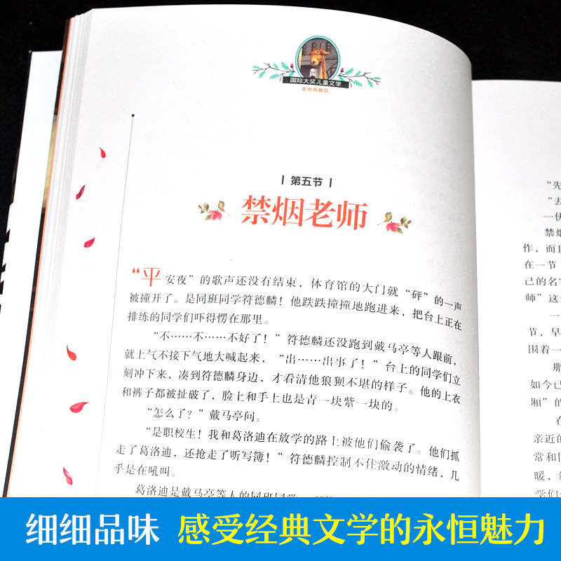 会飞的教室正版 小学生三四五年级阅读课外读书经典书目正版童话故事书籍 国际大奖儿童文学系列 童年兔子坡彩虹鸽青鸟柳林风声