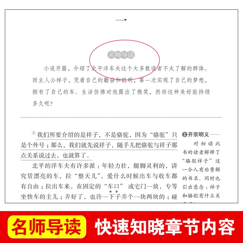 骆驼祥子原著正版老舍的 小学生五年级六年级读课外书籍 老师无障碍阅读 导读版青少年版天地出版社七年级上册和海底两万里