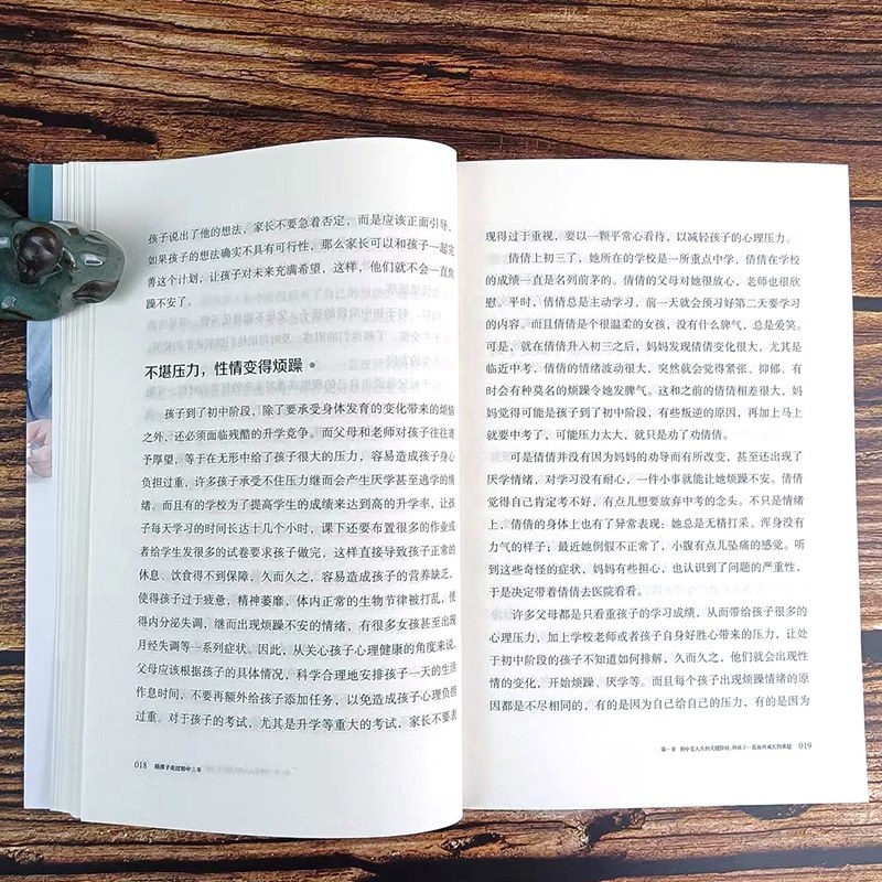 正版 陪孩子走过初中三年 青春期初中生家长阅读 教育孩子的书籍 父母家教 育儿书籍 亲子关系家庭教育 正版书籍