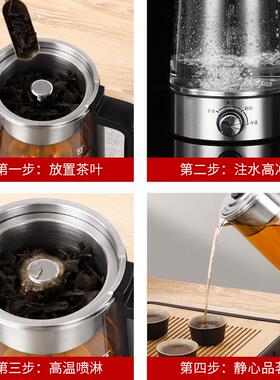 新款六堡茶黑茶煮茶器玻璃电水壶蒸汽喷淋茶壶自动断电保温养生
