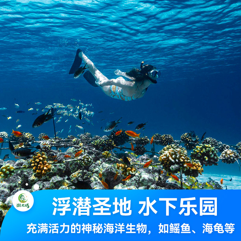 图 4