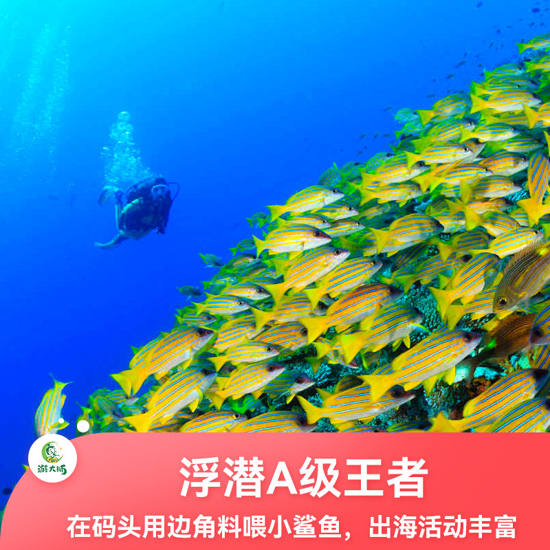 图 5