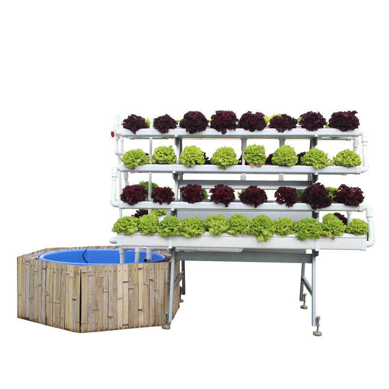 草莓种植槽在现代农业中的应用与优势