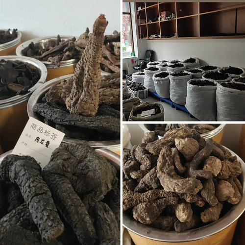 肉苁蓉500克g包邮油苁蓉内蒙古阿拉善软肉苁蓉软大芸非大云中药材 - 图3