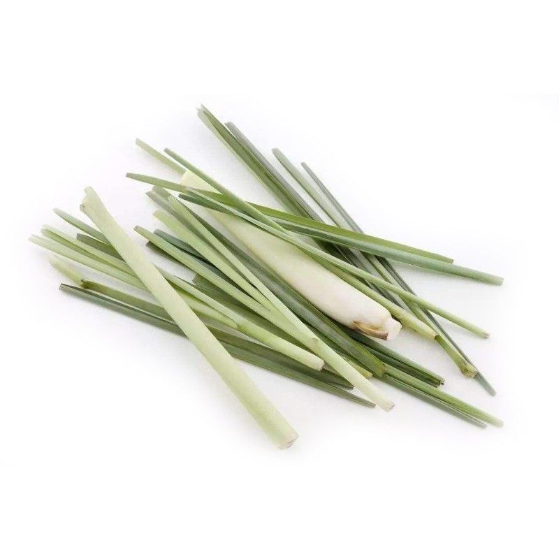 【YIKECAI】新鲜香茅草500g 柠檬草西餐香料冬阴功汤食材料,淘宝优惠券,粉丝福利购,淘宝优惠卷