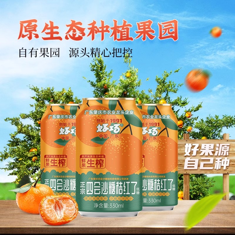 好巧四会沙糖桔果汁汽水330ml*6罐装易拉罐橘子汽水果味碳酸饮料 - 图1