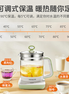 九阳养生壶家用多功能玻璃花茶壶办公室煮茶器烧水壶【新品上市】
