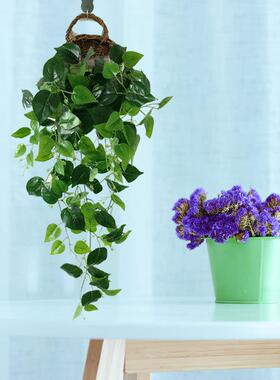 仿真壁挂爬山虎常春藤条墙面装饰吊兰过塑绿植假花装饰定制