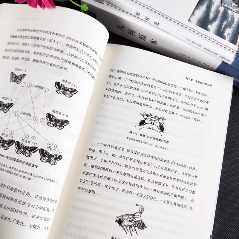 正版全10册插图版世界经典科普读本几何原本+物种起源+自然史+相对论+基因论天体运行论数学原理等达尔文爱因斯坦世界名著书籍