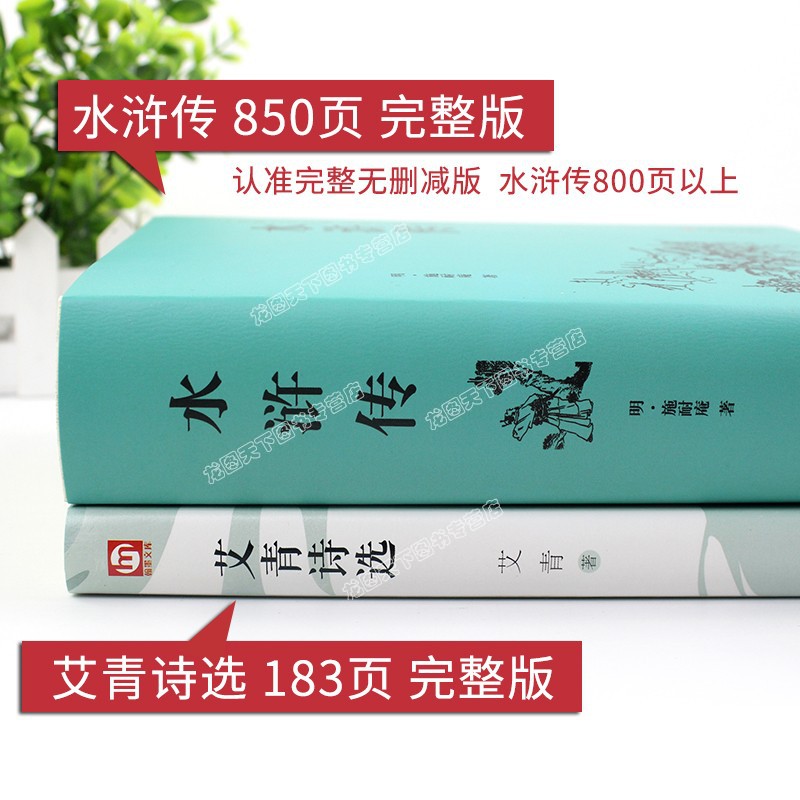 九年级上册读正版名著 2册艾青诗选和水浒传原著无障碍完整版青少年版初中生白话文上册九上课外书初三课外阅读书籍书目120回9M - 图0