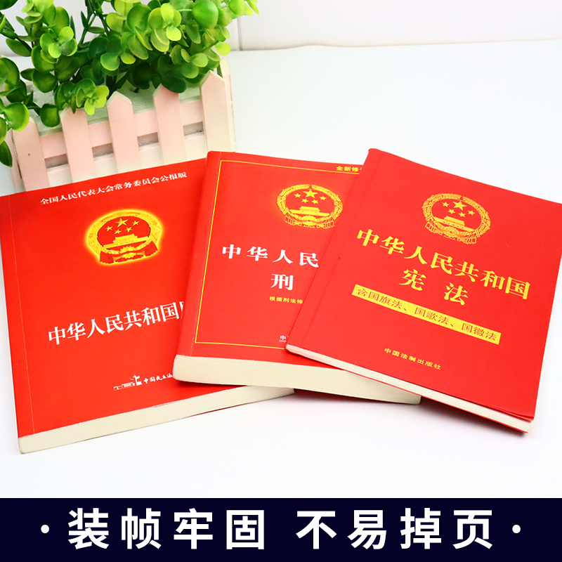 全3本 正版中华人民共和国民法典大字版中华人民共和国宪法刑法实用版新版中国民法典正版实用版实用本物权法劳动法公司畅销书 - 图3