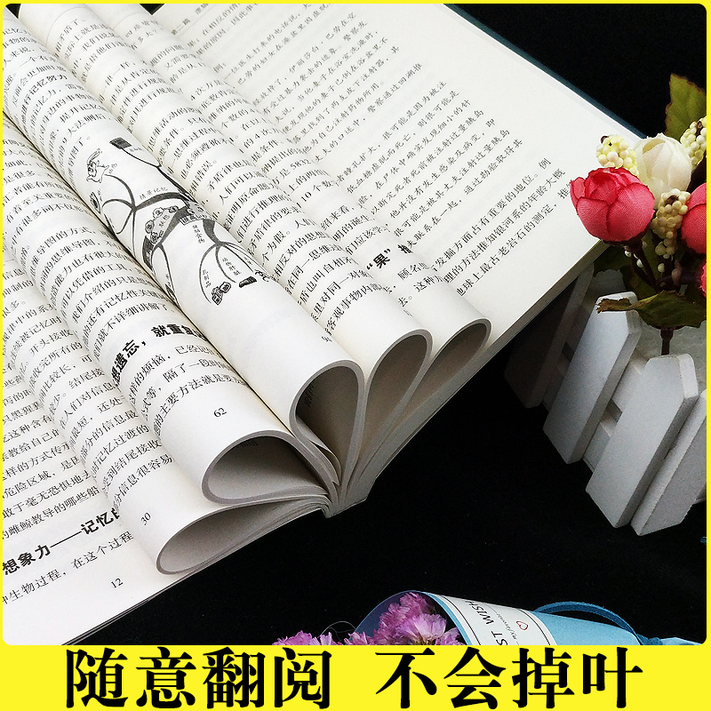 正版全套2册 超级记忆术大全集正版强大脑逆转思维超强记忆力训练法书籍全书的书小学生超极记忆法中小学高中官方旗舰店 - 图2