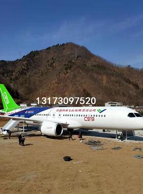 大型户外仿真合金波音737客飞机主题餐厅网红私人飞机民宿模拟舱
