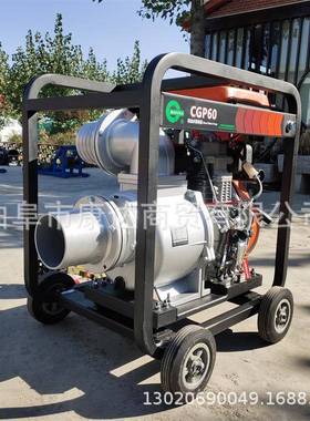 小型电机抽水泵青岛丰燕高压泵框架式排水机