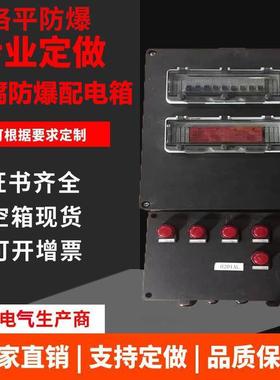BXM(D)58-6K防爆配电箱防爆增压型配电柜防爆防腐配电箱