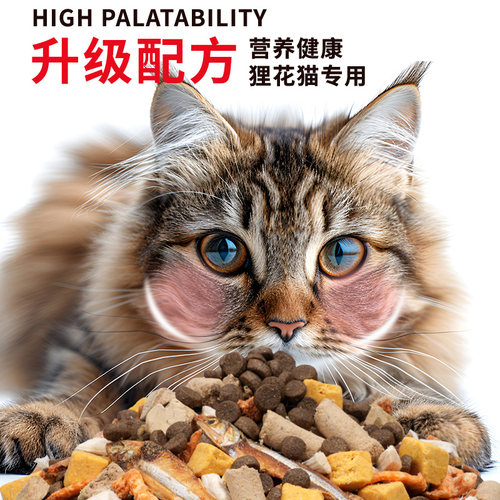 狸花猫猫粮专用10斤装成猫幼猫营养鱼肉冻干经济实惠5斤流浪猫咪 - 图2