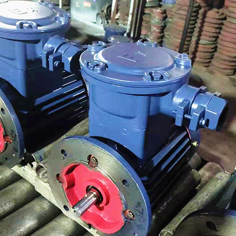 实体厂家隔爆电机YBX3-80M1-4动机工厂直销 隔爆厂防爆电机铜芯线,淘宝优惠券,粉丝福利购,淘宝优惠卷