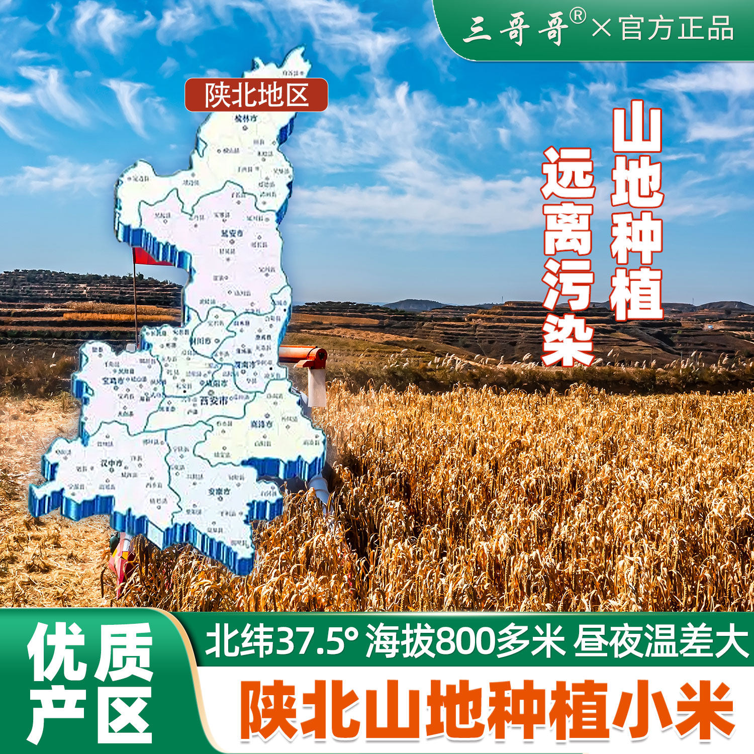 三哥哥黄小米米脂小米五谷杂粮小黄米新米食用山地小米米油厚5斤