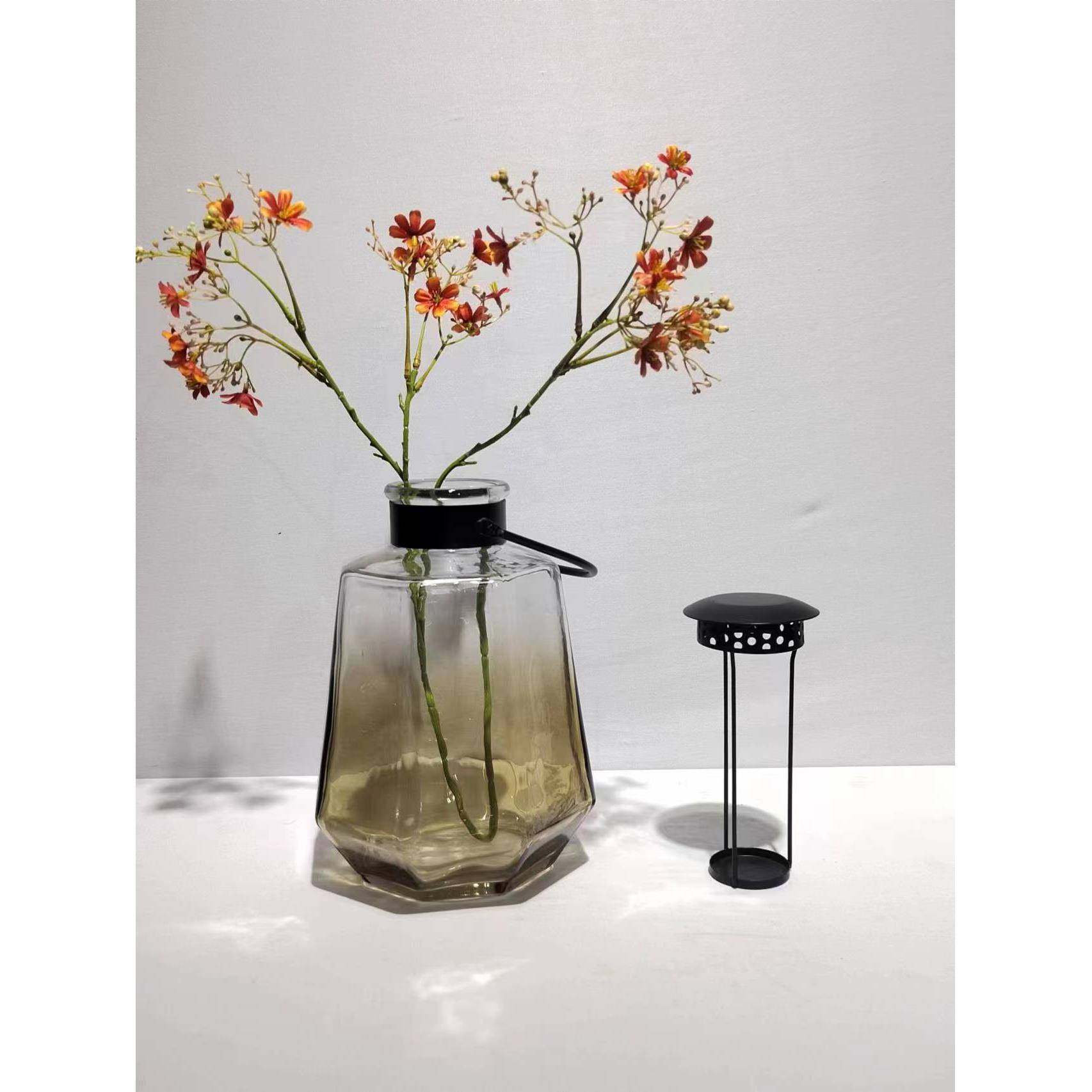 现代约水培绿萝玻简璃花瓶摆件家样板SGB房阳台养居绿植水装饰摆,淘宝优惠券,粉丝福利购,淘宝优惠卷