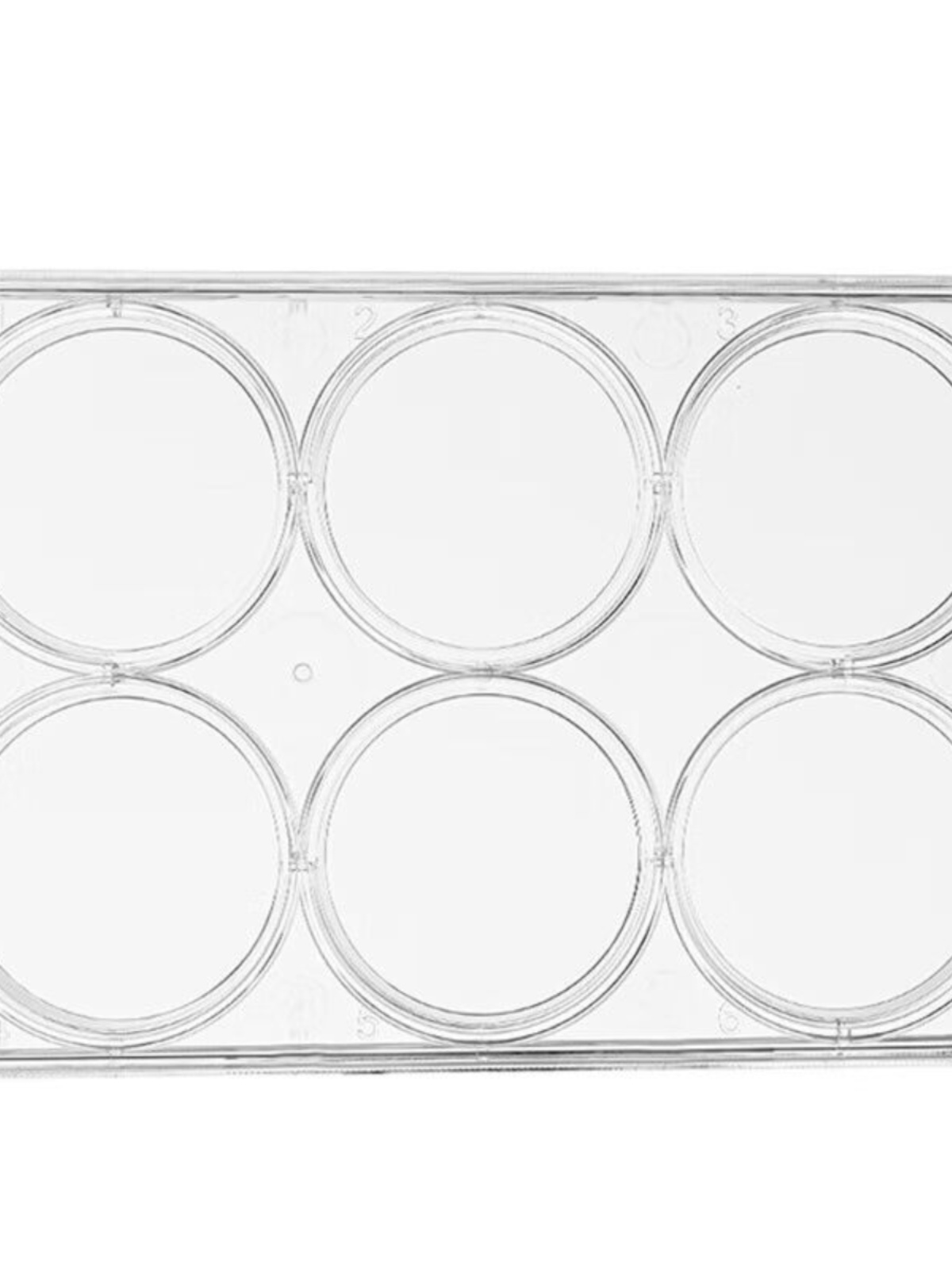 铸固6孔细胞培养板实验室用品无菌独立包装带盖贴壁TC处理1块/包1 - 图2