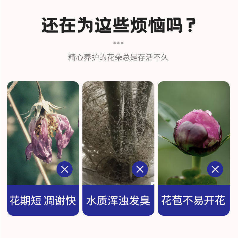 鲜花植物净水片除臭杀菌消毒富贵竹碗睡莲专用净化水质鲜花保鲜片,淘宝优惠券,粉丝福利购,淘宝优惠卷