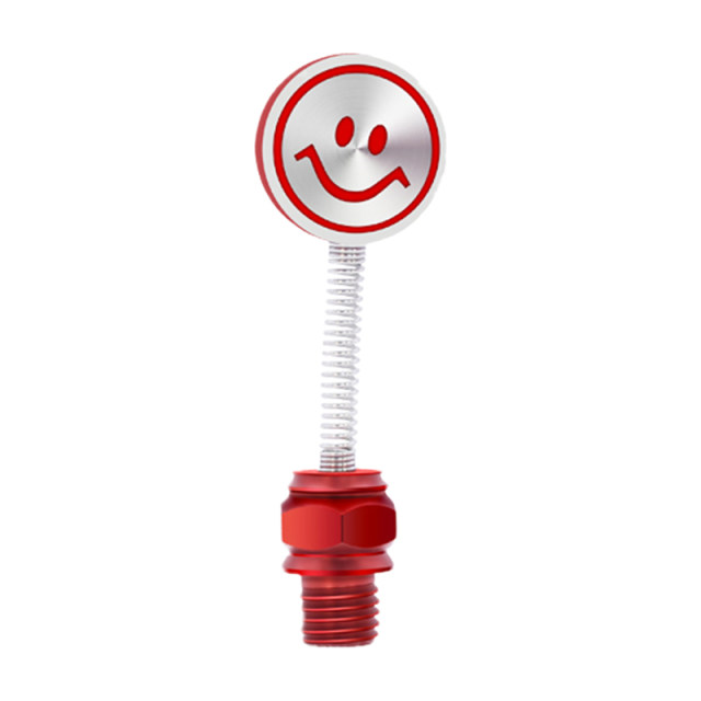 Mogelon ແວ່ນເບິ່ງຫລັງ screw oscillating head screw