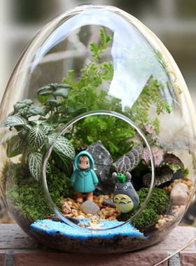 速发微景观斜口玻璃花瓶苔藓多肉生态瓶水晶玻璃家居饰品