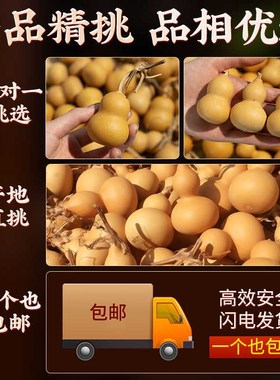 速发小葫芦精龙件头葫芦手把件文玩手捻挂品新鲜装饰摆件葫芦