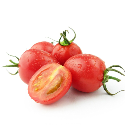 瀑布小番茄种子千禧樱桃西红柿圣女果种籽苗四季播黄蔬菜种孑水果