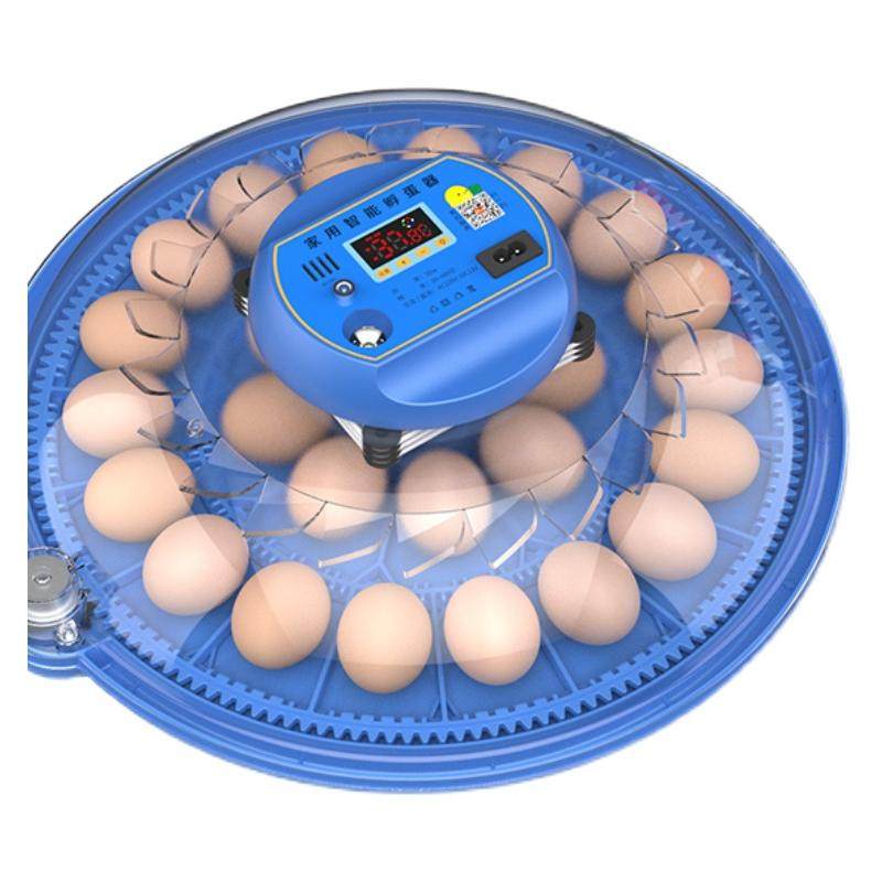 孵化器小型家用孵化机全自动智能孵化箱小鸡鸭鹅鸽鹦鹉种蛋孵蛋器,淘宝优惠券,粉丝福利购,淘宝优惠卷