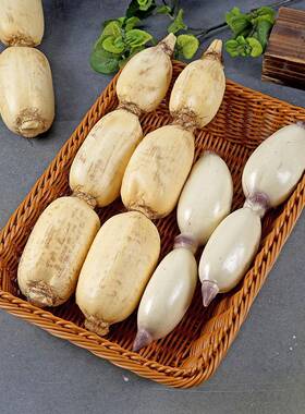 仿真假水果蔬菜模型软胶大小苦青黄瓜茄子店铺厨房装饰摆件玩道具