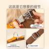 Pet dog collar engraved anti-lost dog tag collar small dog medium and large dog golden retriever teddy collar supplies