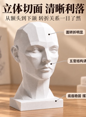 3D打印几何女头像阿萨罗切面模型素描明暗结构训练桌面艺术摆件