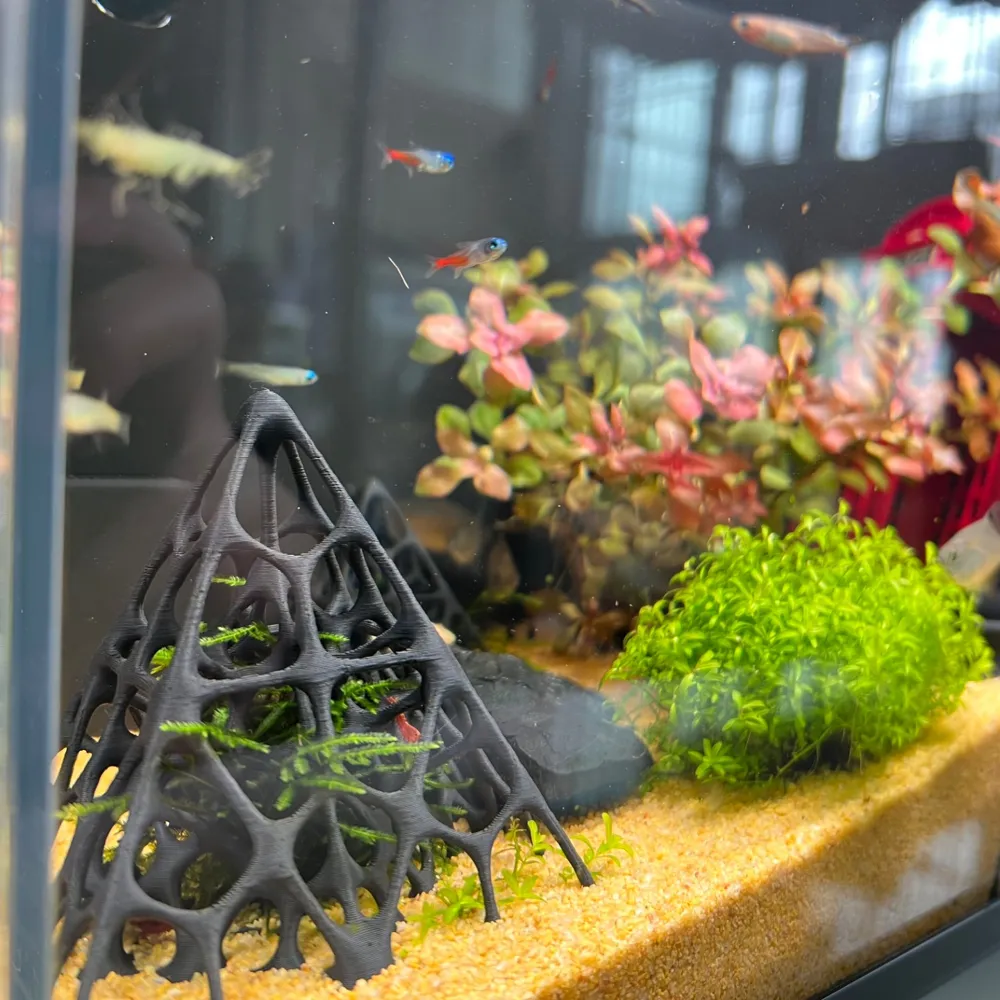 镂空小鱼小虾躲避鱼缸造景黑壳塑料莫斯水鱼虾草房水晶繁殖摆件,淘宝优惠券,粉丝福利购,淘宝优惠卷