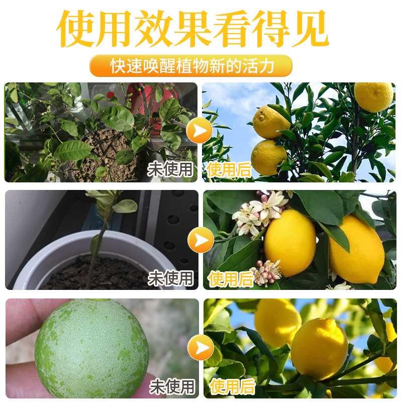 香水柠檬树肥料专用肥柠檬树营养液免稀释叶子发黄干枯盆栽植物花 - 图1