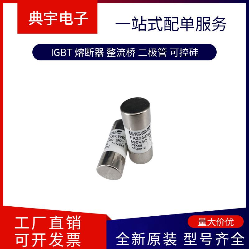 法国熔断器SC30AR69V250TIMQ1046997SC30AR69V315TIMR1046998 - 图1