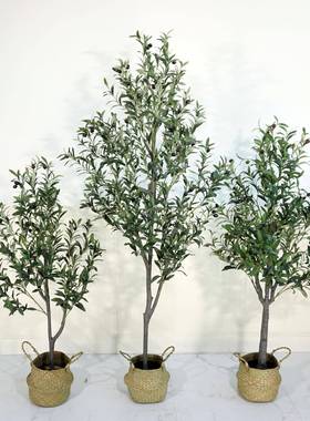 仿真橄榄树北欧风装饰绿植客厅落地大型盆栽室内盆景摆件假盆景