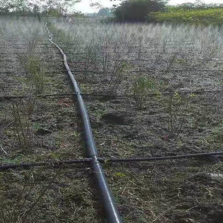 滴灌带农用微喷喷水雾化灌溉微喷C喷灌滴灌设备自动浇水器水管厂 - 图0