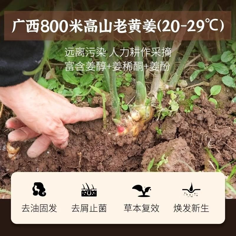 老姜王生姜防脱生发中药洗发水增发密发洗头药包纯植物去屑止痒膏