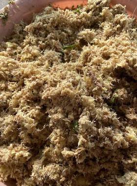 鲁强大型水果榨汁机芒果去核破碎榨汁分离机