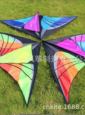 新品风筝 三角风筝  大尺寸单线风筝 带线板尾巴 kite