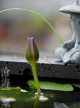 钓鱼翁花园花盆假山流水摆件古法鱼缸造景水族微景观迷你水景装饰