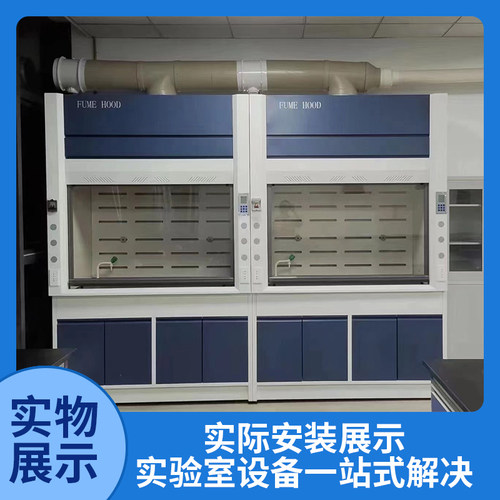 通风柜实验室全钢PP通风橱排风柜实验室操作台桌上型定制净气型 - 图2