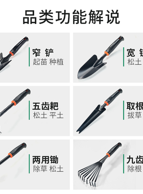 园艺工具三件套家用不锈钢小铲子种菜栽养花铁锹耙子赶海工具神器