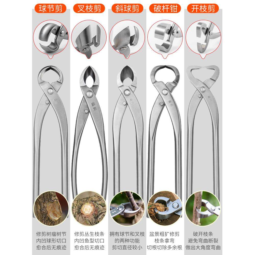 修枝剪球节剪盆景工具叶芽剪叉枝剪树瘤树节球形钳盆景造型工具剪,淘宝优惠券,粉丝福利购,淘宝优惠卷