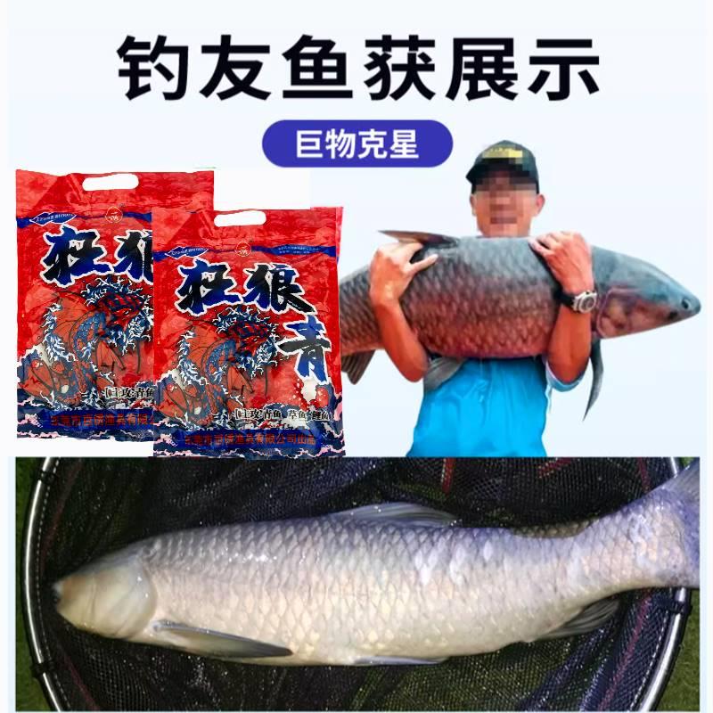 百诱狂浪青颗粒赛道二代青鱼饵料挂钩窝料小药狂狼青黑坑草鱼鱼饵 - 图2