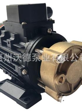 供应惠沃德Y-4081.2008热水泵0.75kw模温机高温旋涡泵热油泵