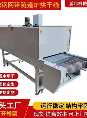 工业高温隧道炉烘干线特佛龙网带链板烤漆固化丝印五金烤炉输送机